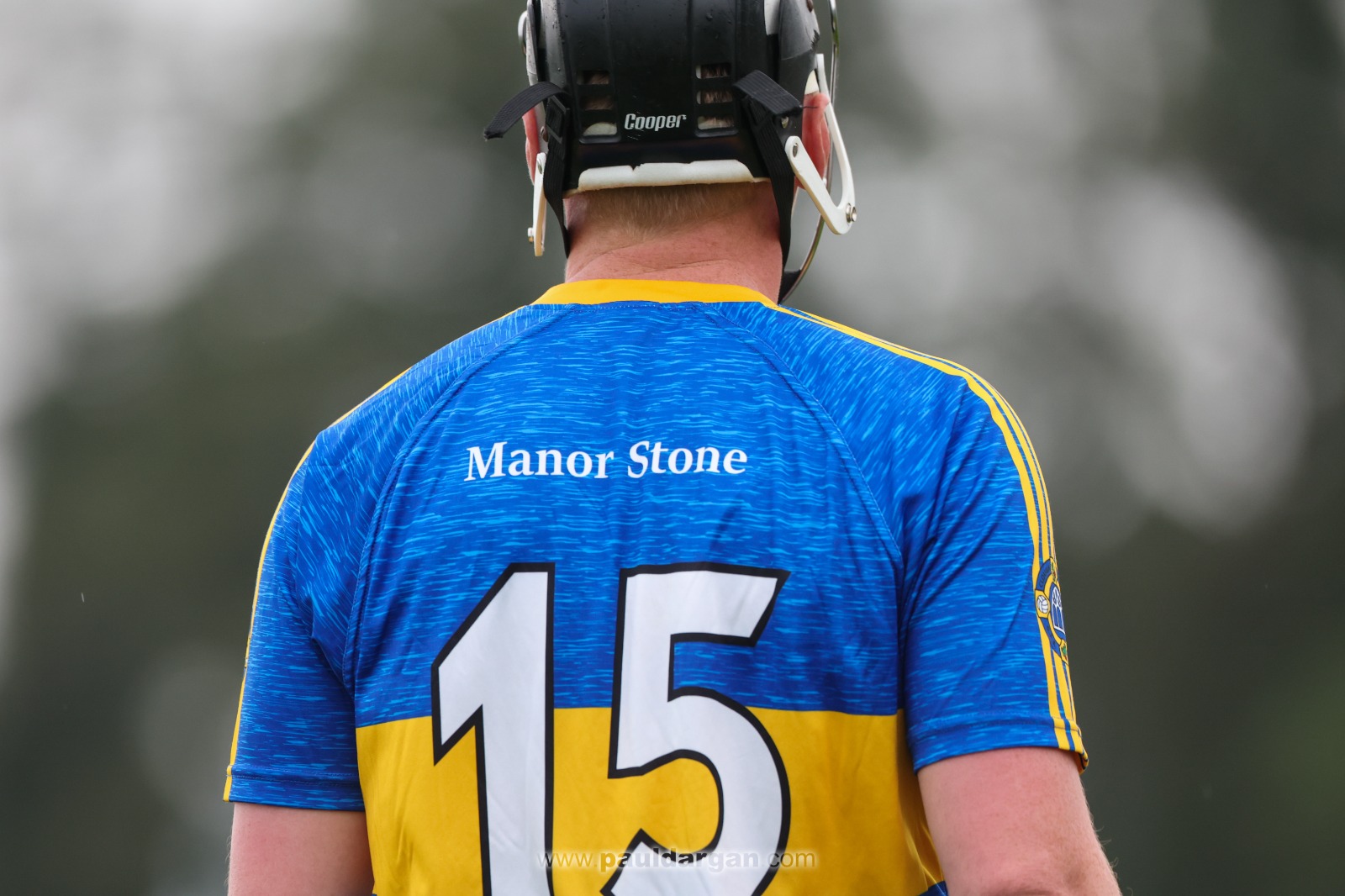 Clough-Ballacolla Slieve Bloom (16)